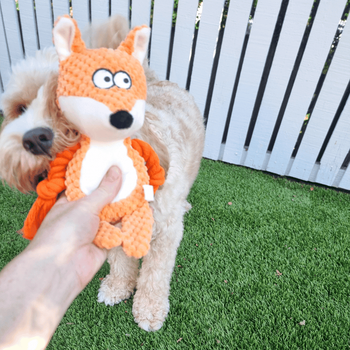 Frida Fox Rope Corduroy Dog Toy - Plush and Rope Toys from . at DoggyTopia