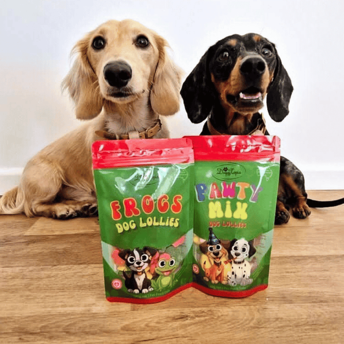 Frogs Dog Lollies - Lollies from DoggyTopia at DoggyTopia