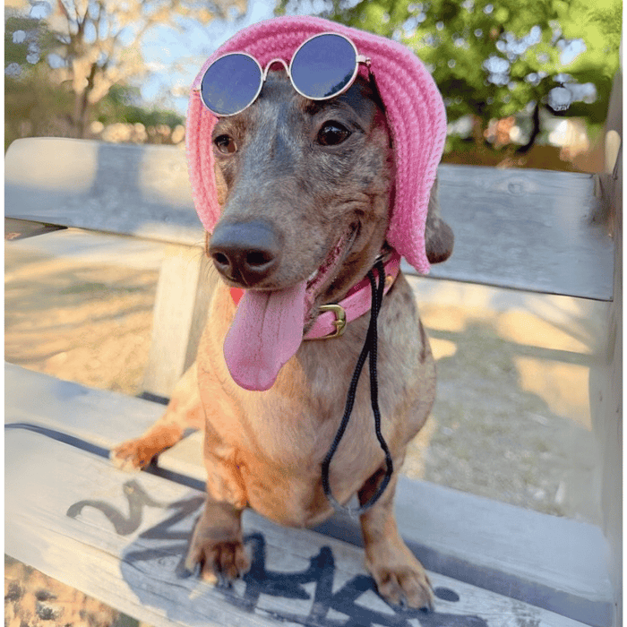 Full Brim Dog Sun Hat Pink - Dog Sun Hat from . at DoggyTopia