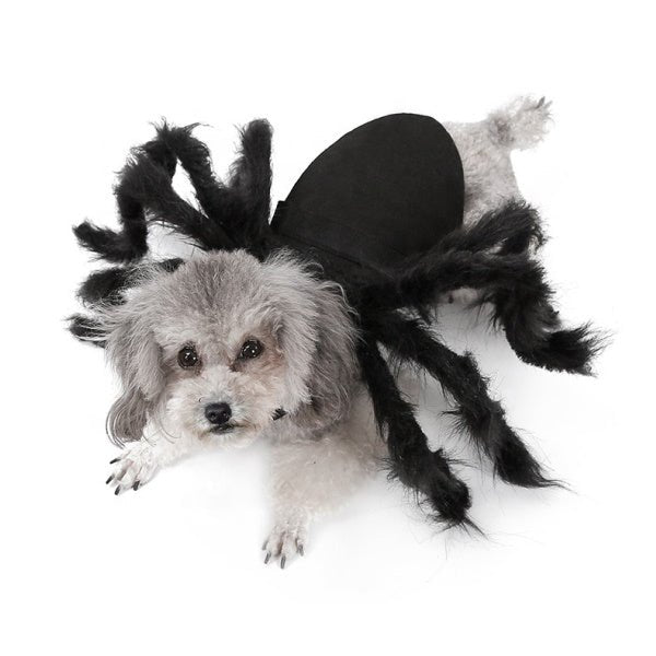 Fuzzy Spider Dog Costume - Costumes from Halloween at DoggyTopia