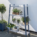 Galaxy Plant Shelf