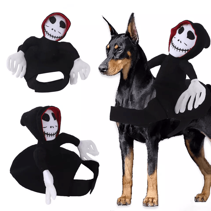 Ghoul Ride - On Dog Costume - Costumes from . at DoggyTopia