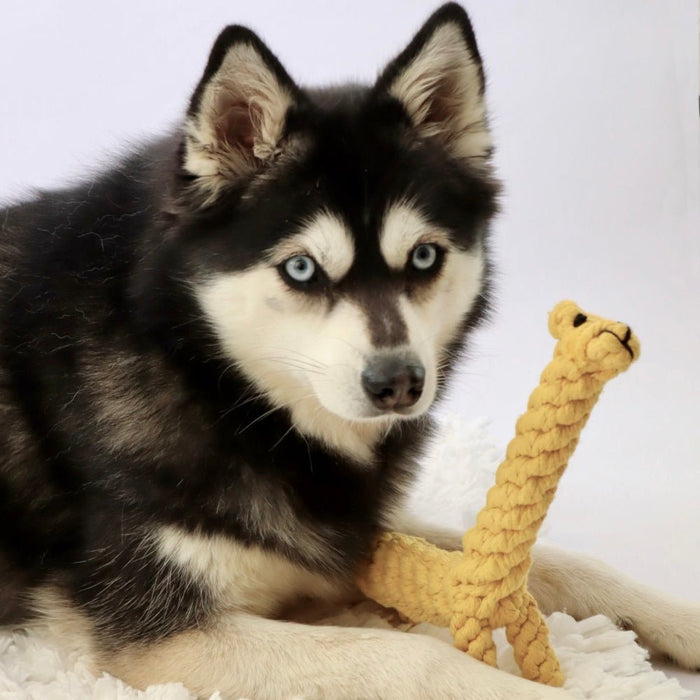 Giraffe Rope Dog Toy - Rope Toys from . at DoggyTopia