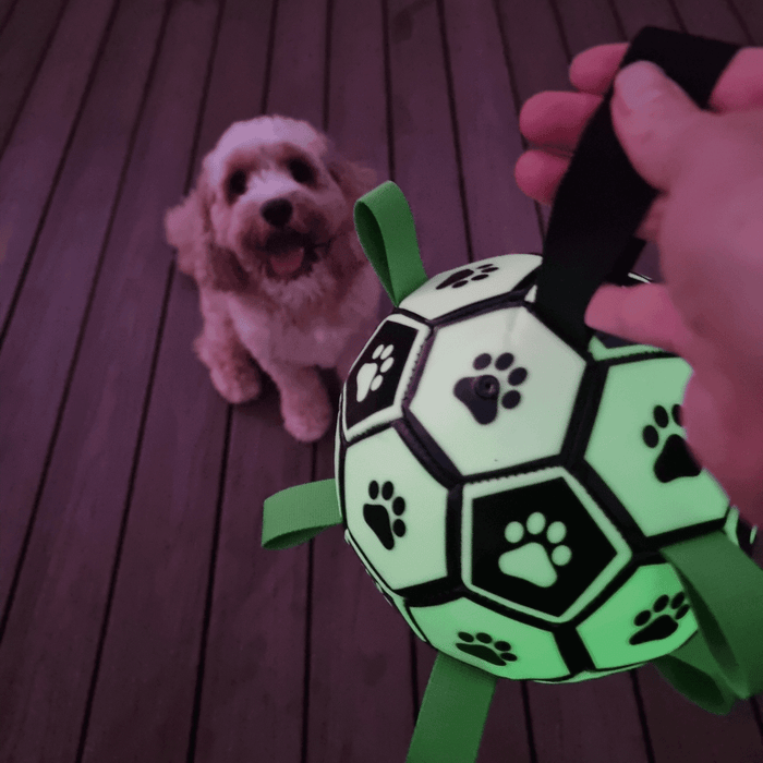 Glow In The Dark Interactive Dog Soccer Ball With Grab Tabs - Interactive Toys from . at DoggyTopia