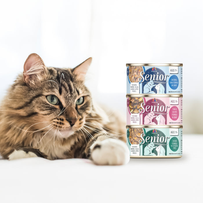 A fluffy brown tabby cat lies beside three stacked cans of Weruva Golden Moments Variety Pack cat food in different flavors, against a bright, softly blurred background.