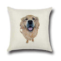 Golden Retriever Throw Cushion - Cushions from . at DoggyTopia