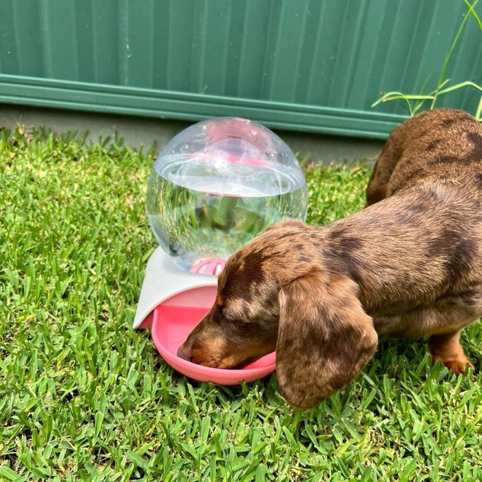 Gravity Water Bubble Fountain - Water Fountain from . at DoggyTopia
