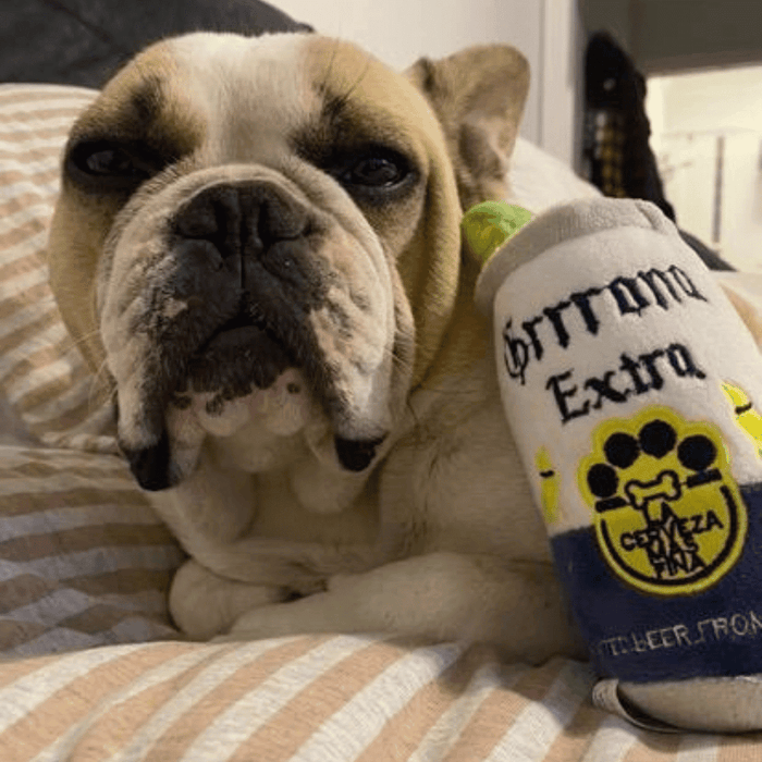 Grrrona Can Dog Toy - Designer Toys from Haute Diggity Dog at DoggyTopia