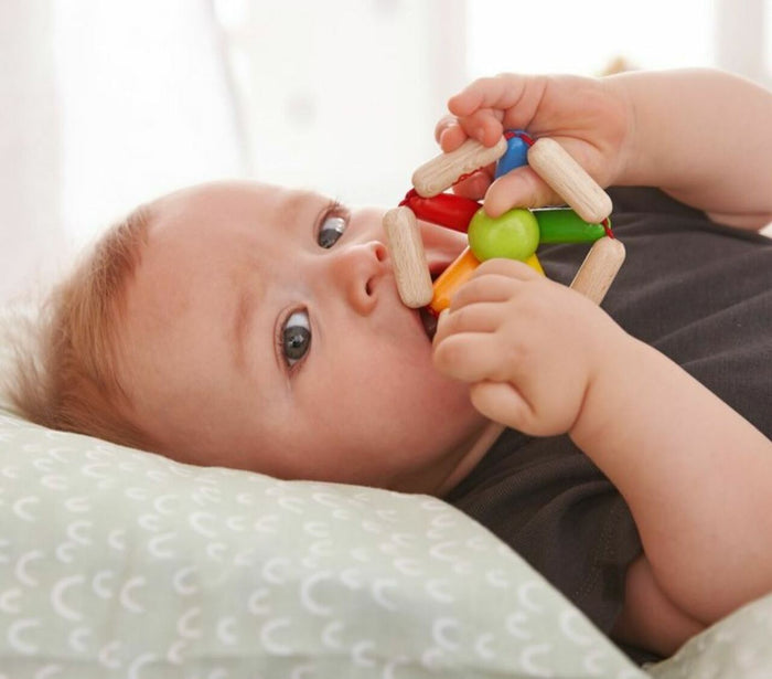 Haba Color Carousel Wooden Baby Rattle
