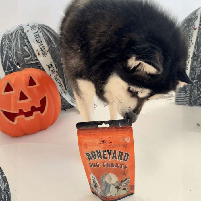 Halloween Boneyard Dog Treats