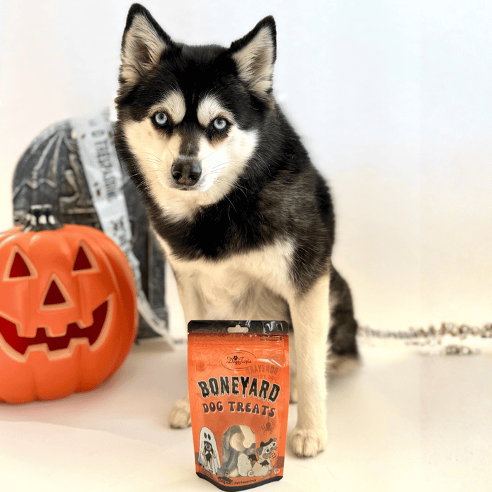 Halloween Boneyard Dog Treats