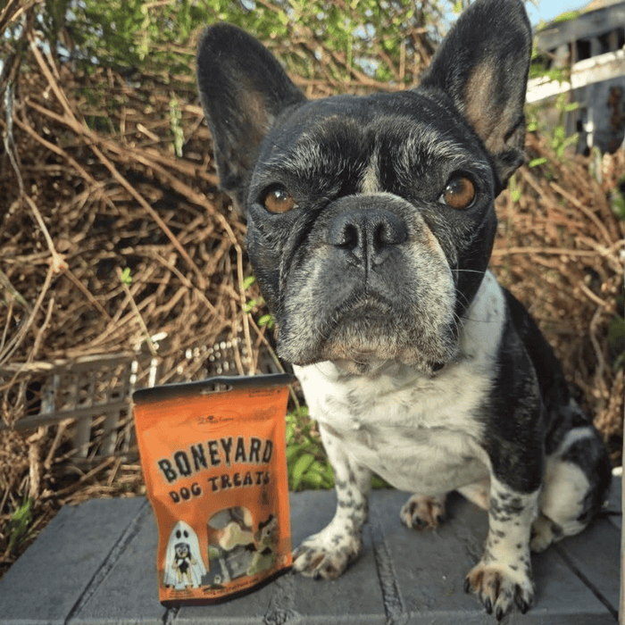 Halloween Boneyard Dog Treats