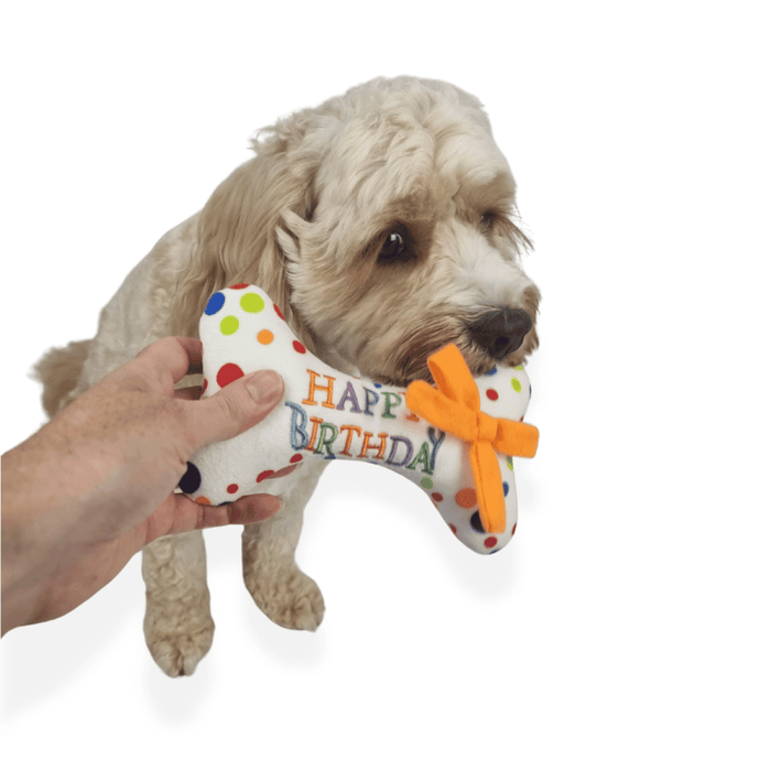 Happy Birthday Bone Dog Toy - Birthday Toys from . at DoggyTopia