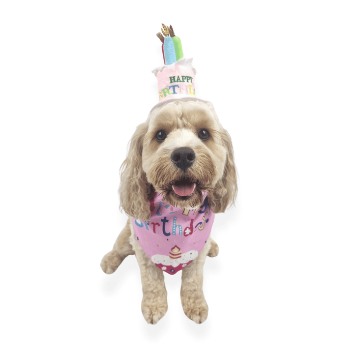 Happy Birthday Cake Hat & Bandana Set - Pink - Dog Party Hats from . at DoggyTopia