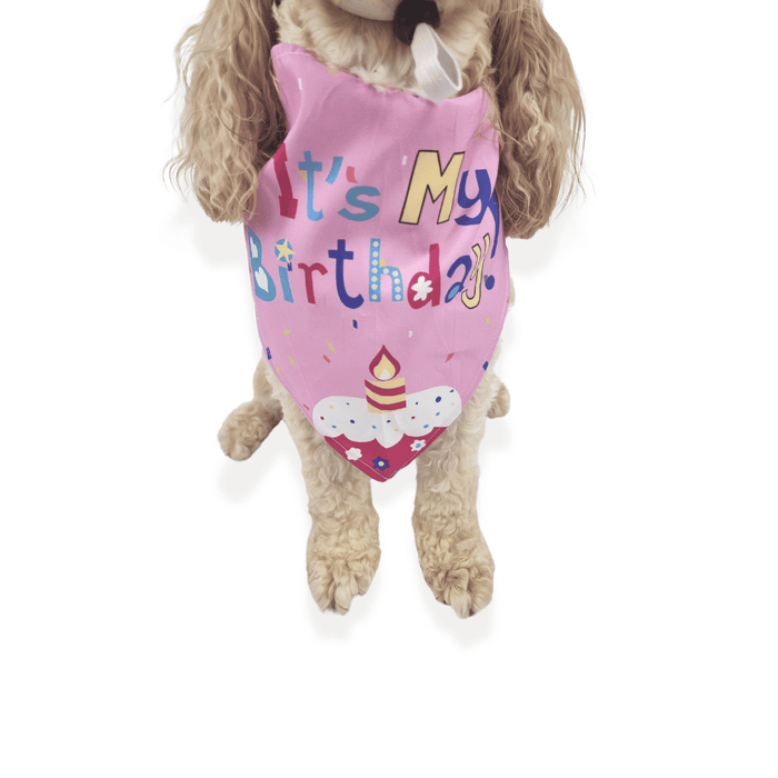 Happy Birthday Cake Hat & Bandana Set - Pink - Dog Party Hats from . at DoggyTopia