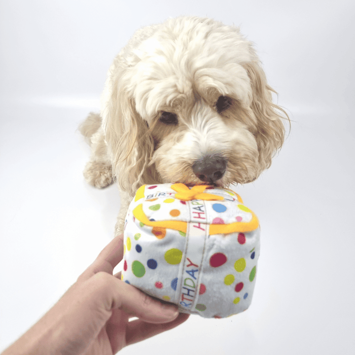 Happy Birthday Gift Box Dog Toy - Birthday Toys from . at DoggyTopia