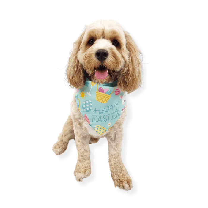 Happy Easter Bandana - Blue - Bandanas from . at DoggyTopia