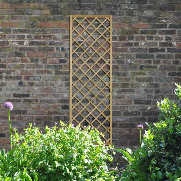 Hidcote Lattice #180 x 60cm