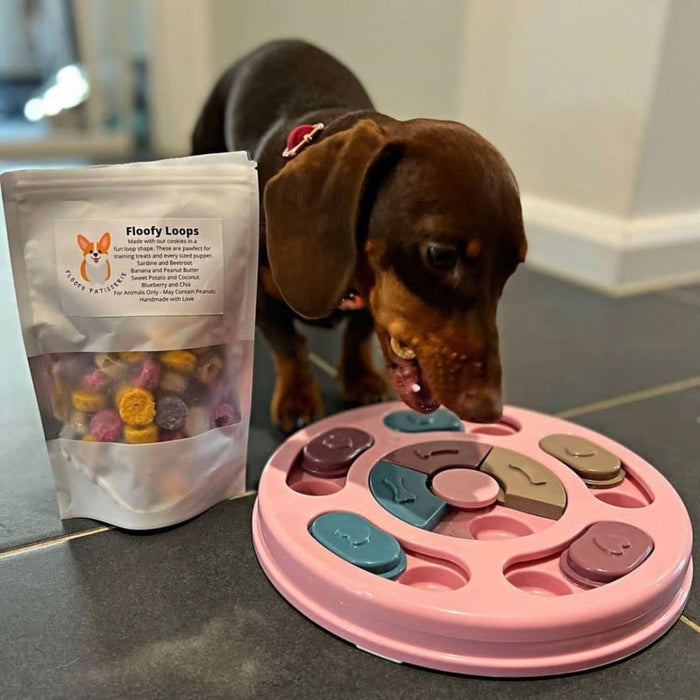 Hide And Slide Treat Puzzle - Puzzles from . at DoggyTopia