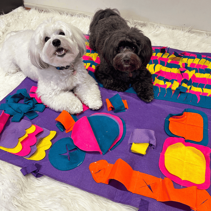 Interactive Snuffle Mat - Snuffle Mats from . at DoggyTopia
