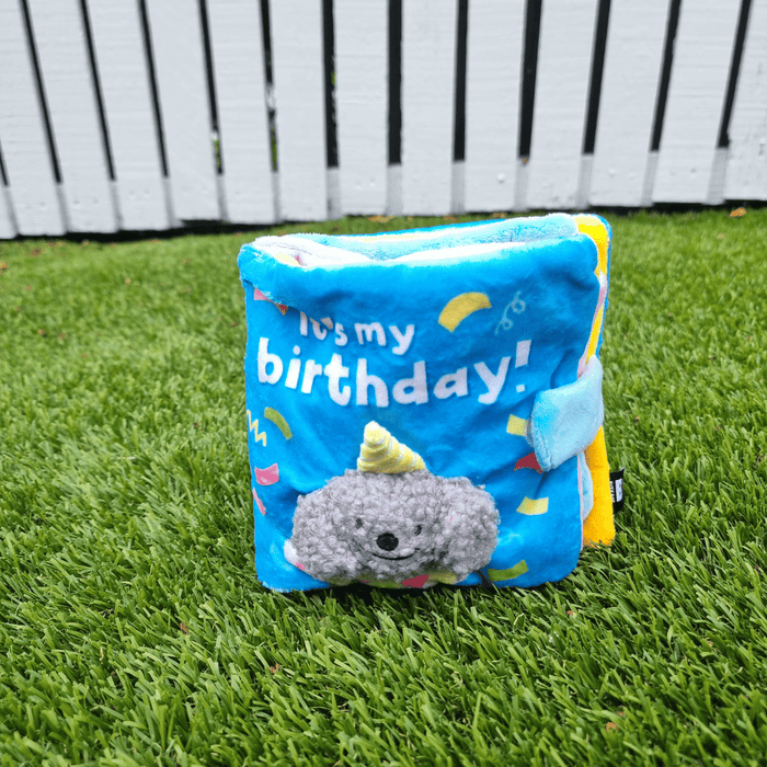 It's My Birthday Nose Work Book Toy - Foraging Toy from Christmas at DoggyTopia