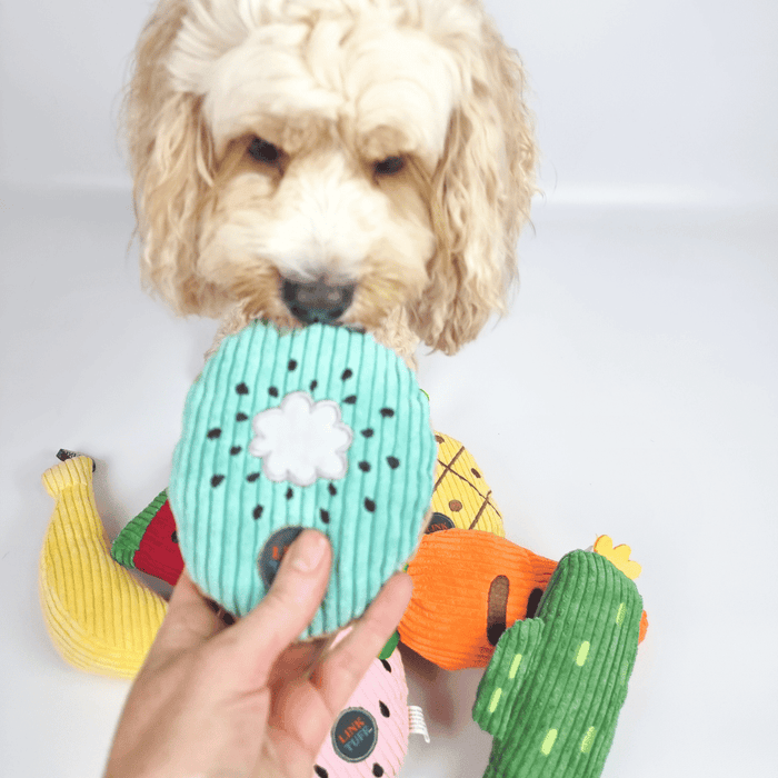 Kiwi Fruit Plush Dog - Plush Toys from . at DoggyTopia