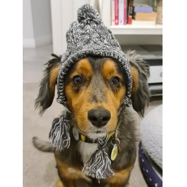 Knitted Dog Beanie - Grey - Beanies from Sale at DoggyTopia
