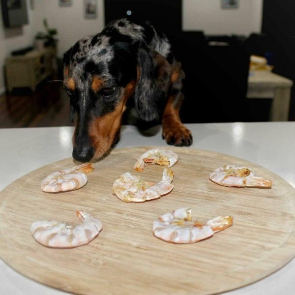 L'Barkery Just Prawns - Treats from L'Barkery at DoggyTopia