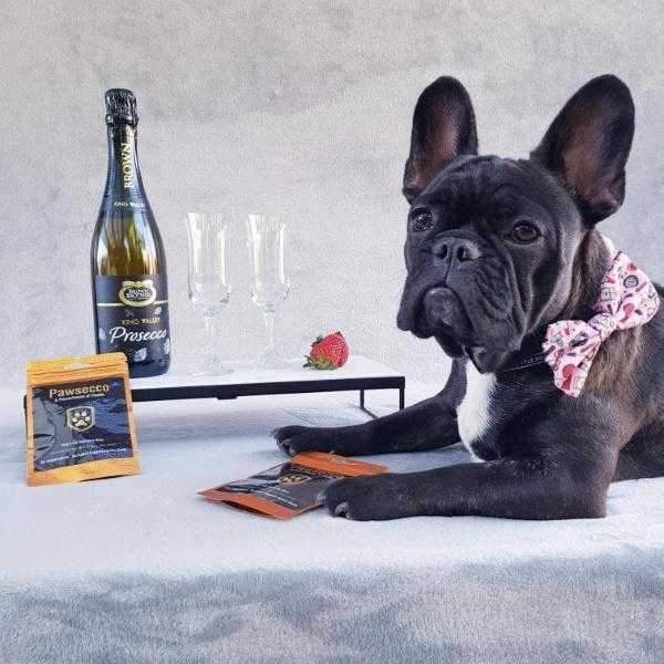 L'Barkery Pawsecco Sparkling Wine - Beverages from L'Barkery at DoggyTopia