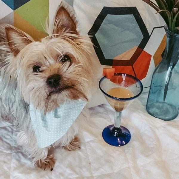 L'Barkery Pawtini - Beverages from L'Barkery at DoggyTopia