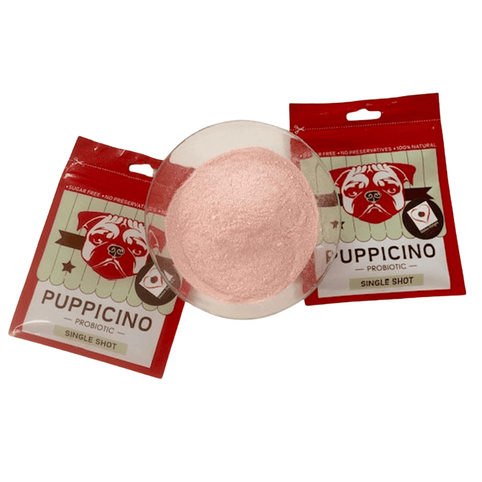 L'Barkery Puppicino - Melon Delight - Beverages from L'Barkery at DoggyTopia