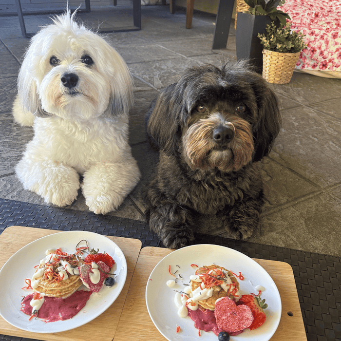 L'Barkery Stack It Pancake Mix - Treats from L'Barkery at DoggyTopia