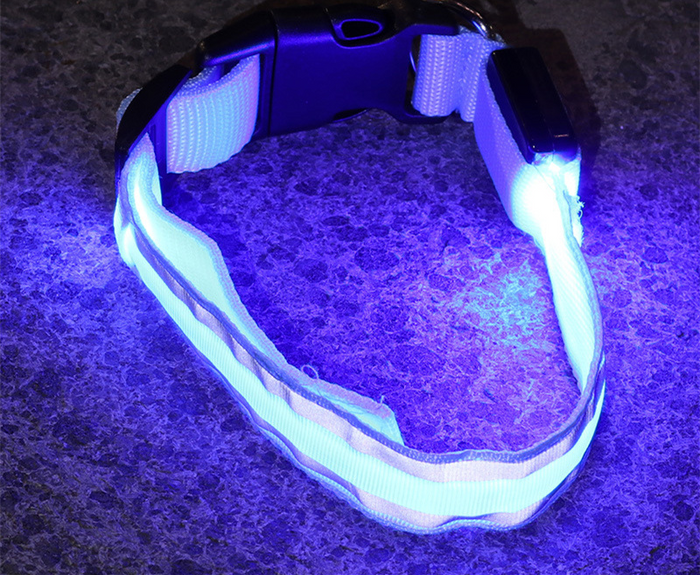 LED Light-Up Dog Collar