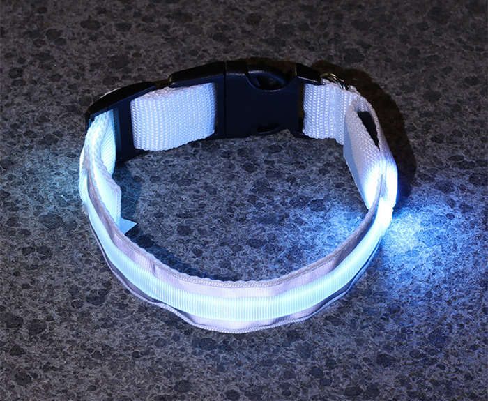 LED Light-Up Dog Collar