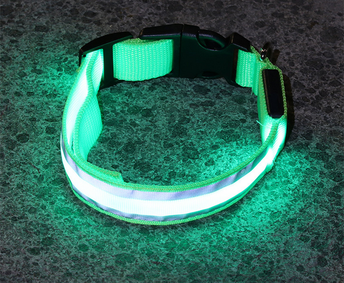 LED Light-Up Dog Collar