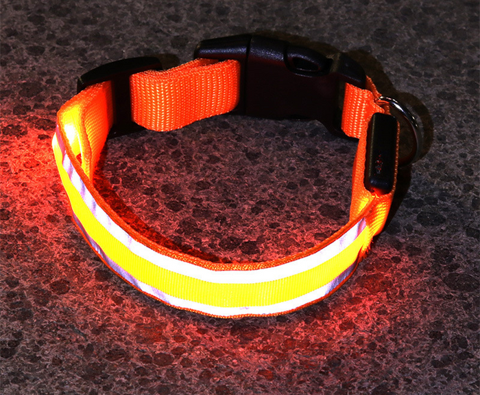 LED Light-Up Dog Collar