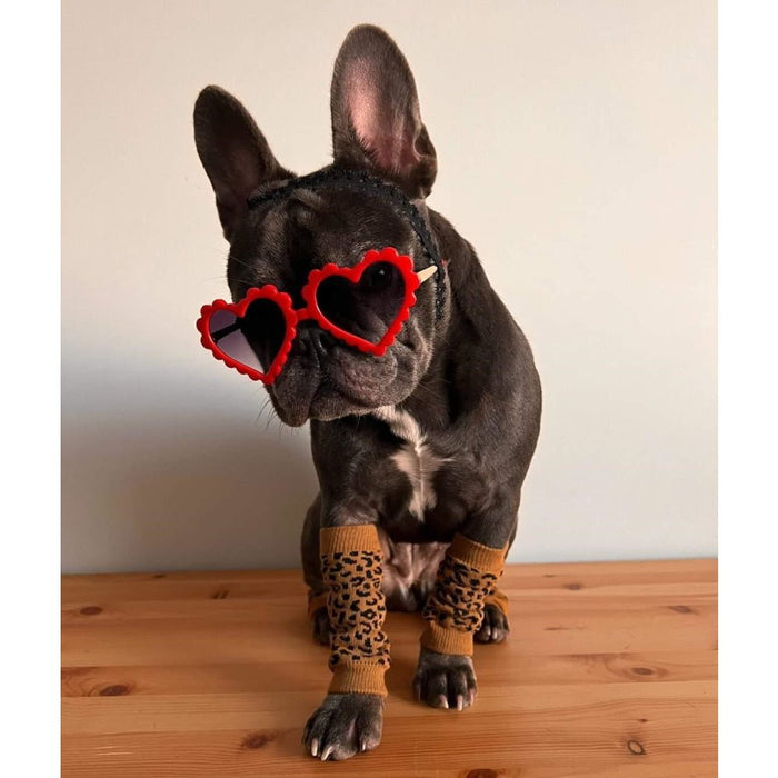 Leopard Dog Leg Warmers - Leg Warmers from Sale at DoggyTopia