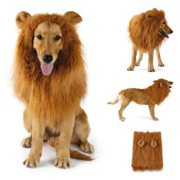 Lion Mane Dog Costume - Medium to Large Dogs - Costumes from Halloween at DoggyTopia