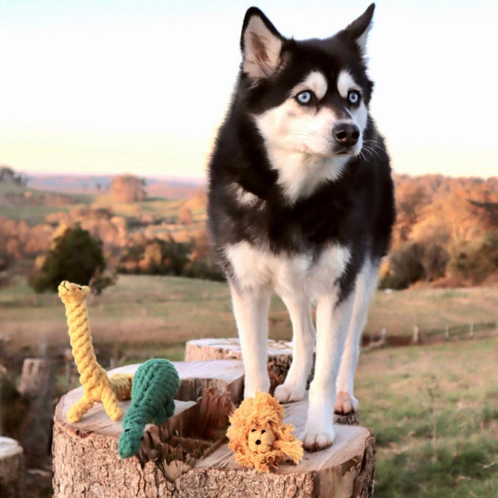 Lion Rope Dog Toy - Rope Toys from . at DoggyTopia