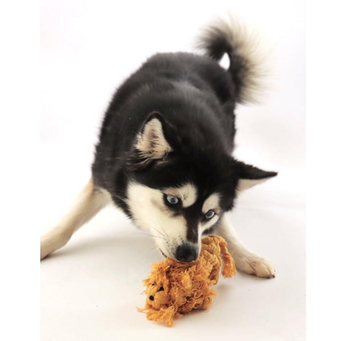 Lion Rope Dog Toy - Rope Toys from . at DoggyTopia