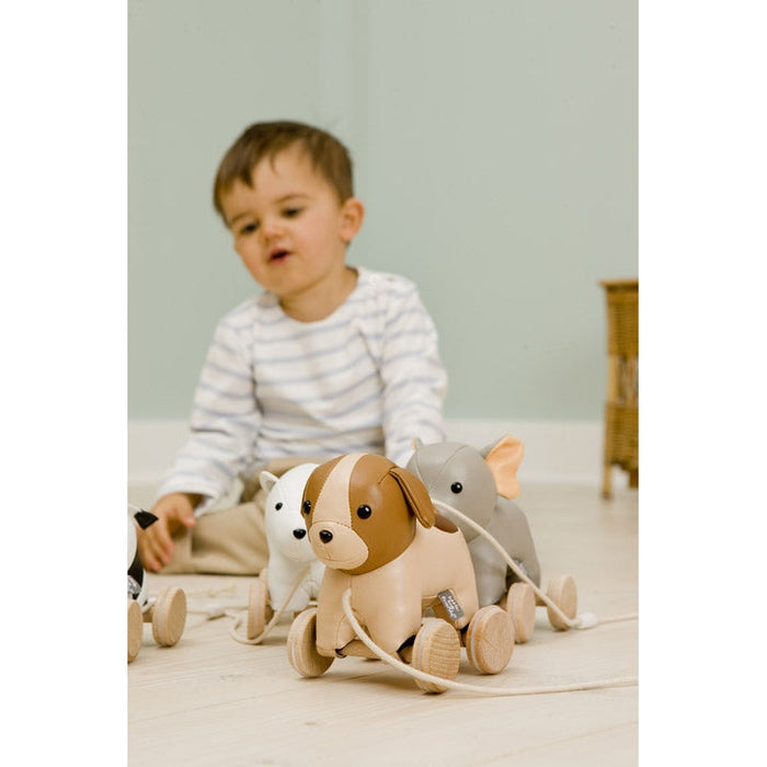 Little Big Friends Adrien the Dog