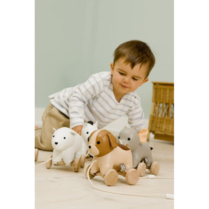 Little Big Friends Adrien the Dog
