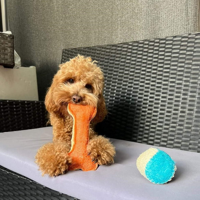 Loofah Ball Dental Toy - Large - Dental Toys from . at DoggyTopia