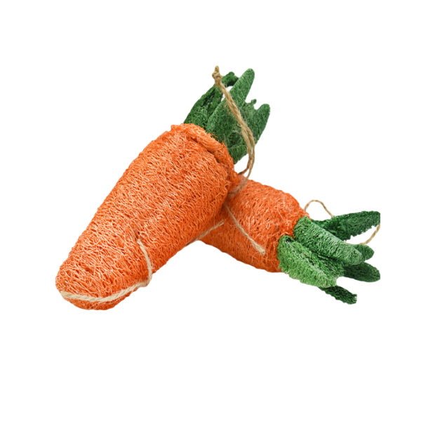 Loofah Carrot Dental Toy - Dental Toys from . at DoggyTopia