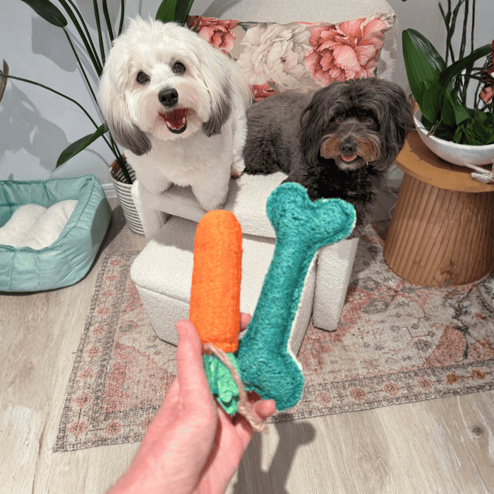 Loofah Carrot Dental Toy
