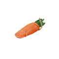Loofah Carrot Dental Toy - Dental Toys from . at DoggyTopia