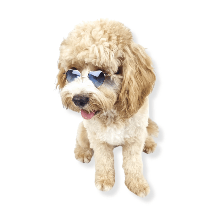 Love Heart Dog Sunglasses - Sunglasses from . at DoggyTopia