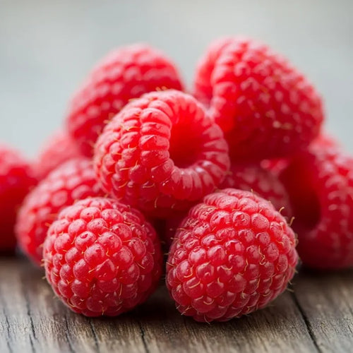'Malling Jewel' Raspberry Plants | 10 Bare Root Canes