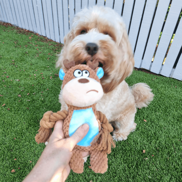 Maxwell Moose Rope Corduroy Dog Toy - Plush and Rope Toys from . at DoggyTopia