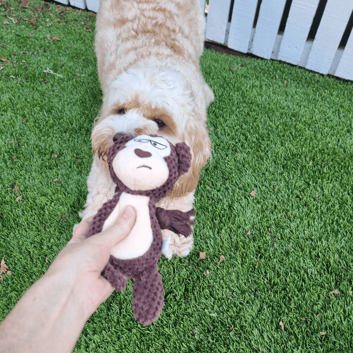 Milo Monkey Rope Corduroy Toy - Plush and Rope Toys from . at DoggyTopia